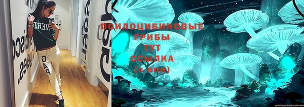 мдпв Киренск